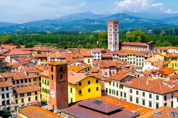 Escursione privata libera da Firenze