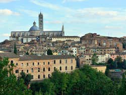 Siena